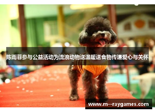 陈雨菲参与公益活动为流浪动物送温暖送食物传递爱心与关怀