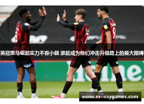 英冠黑马崛起实力不容小觑 谁能成为他们冲击升级路上的最大阻碍