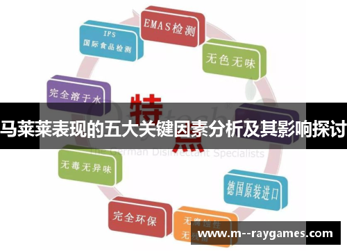 马莱莱表现的五大关键因素分析及其影响探讨