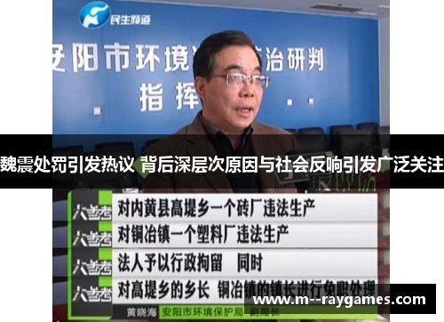 魏震处罚引发热议 背后深层次原因与社会反响引发广泛关注